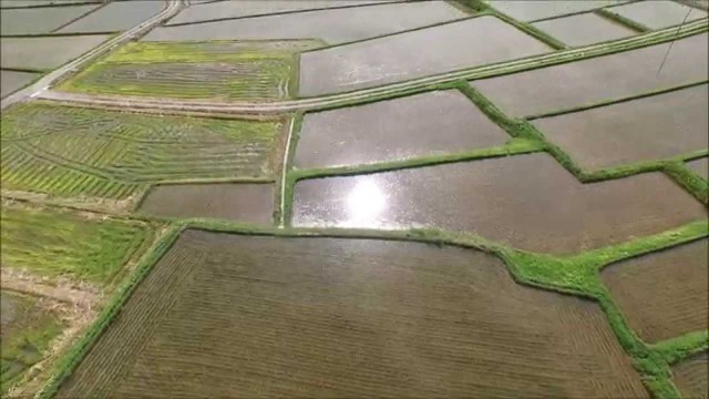 椹平の棚田・2015夏（朝日町）