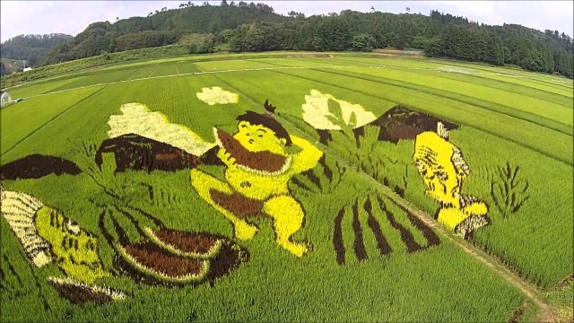 尾花沢の田圃アート（尾花沢市）
