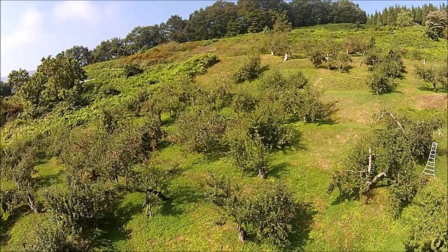 大暮山の集落（朝日町）