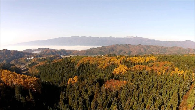 白鷹街道（白鷹町）