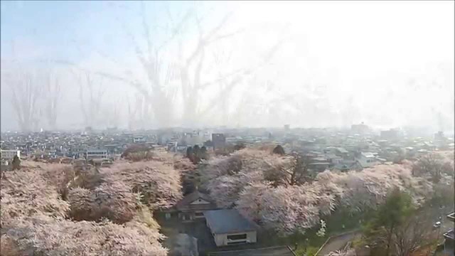 陣内アナウンサー（山形市）