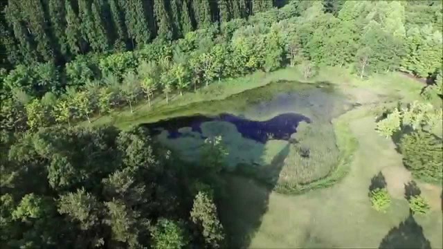 はんのき夫婦沼（山辺町）