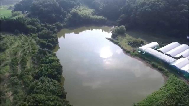 山元沼（天童市）