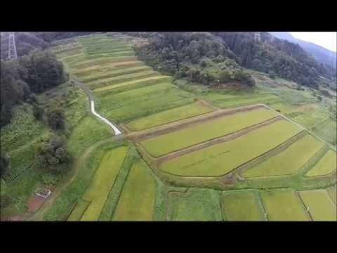 大蕨の棚田（山辺町）