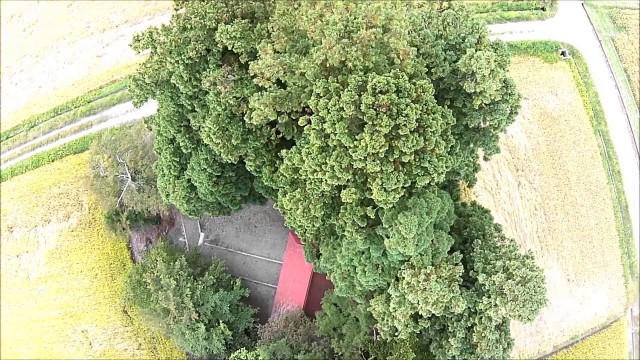 鎮守の森（米沢市）