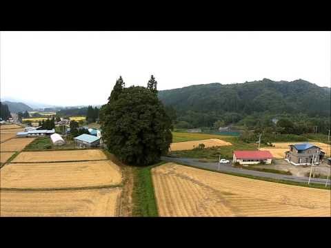 米沢のトトロ・秋（米沢市）