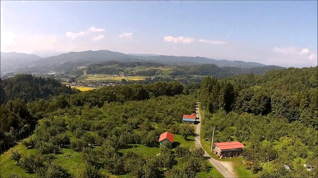 和合平・秋（朝日町）
