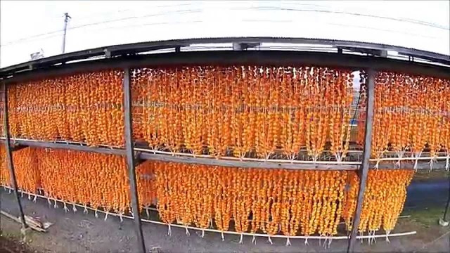 柿干（上山市）