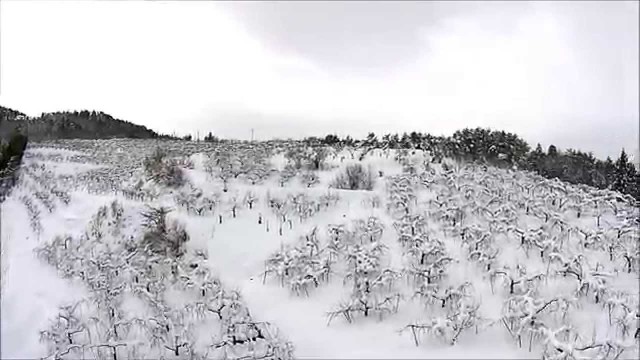 和合平・冬（朝日町）