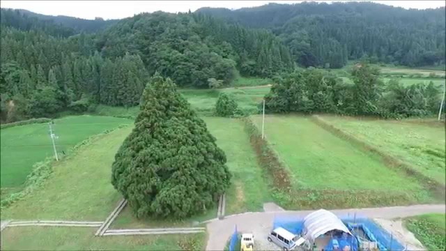 鮭川のトトロ（鮭川村）