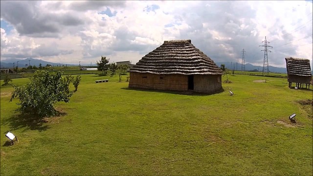 西沼田遺跡・夏（天童市）