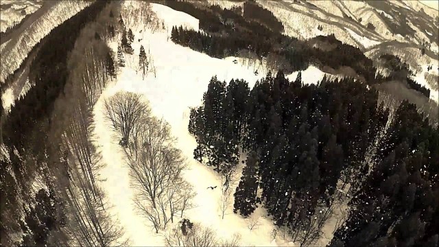 ヨン様ロード（朝日町）