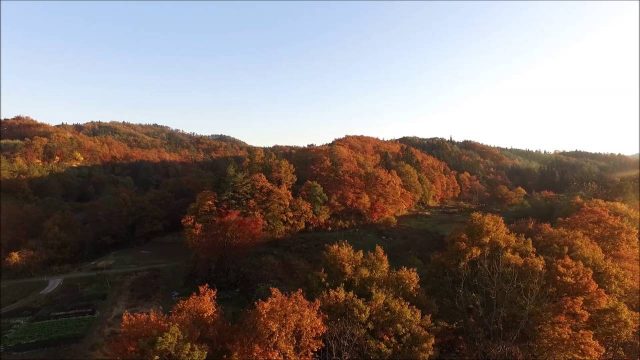 馬神溜池の秋（朝日町）