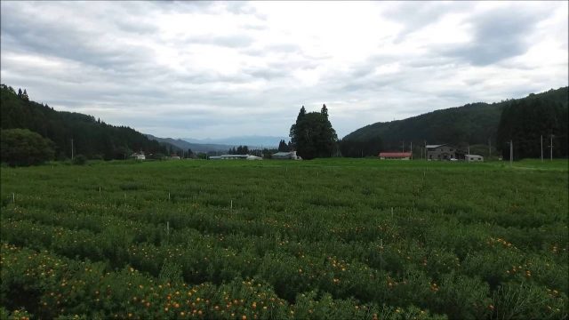 トトロ完結!!（米沢市）