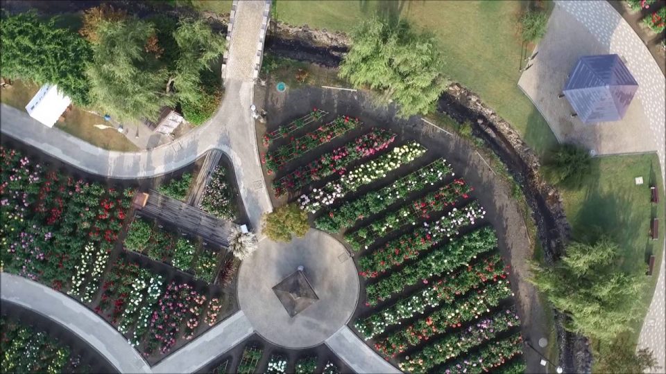 ダリア園（川西町）