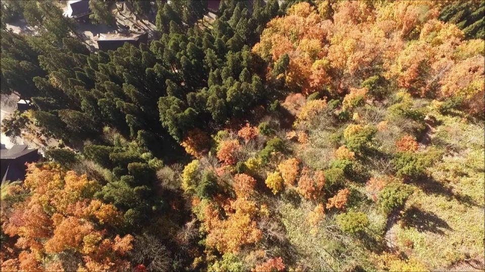 山王台公園（寒河江市）