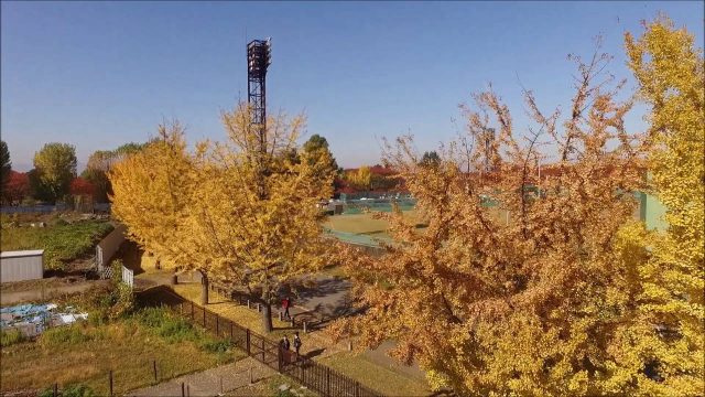 霞城公園の秋（山形市）