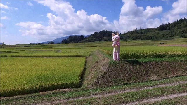 棚田ウサヒ（朝日町）